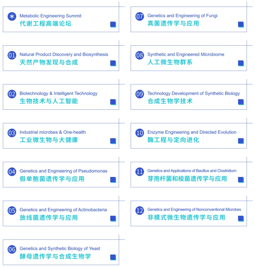 53610847_1753749978.webp